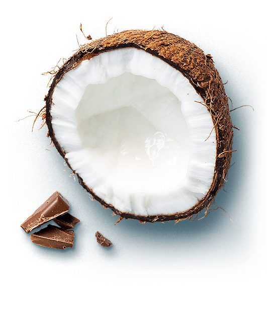 Detalle de barritas de cereales, coco y chocolate con leche Corny